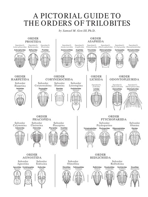 Trilobite Pictorial Guide | Geology | Science