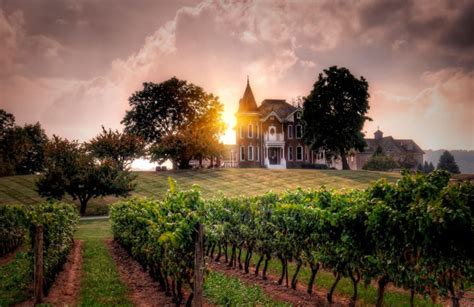 Niagara Wine Tours | Bed and Breakfast Niagara on the Lake