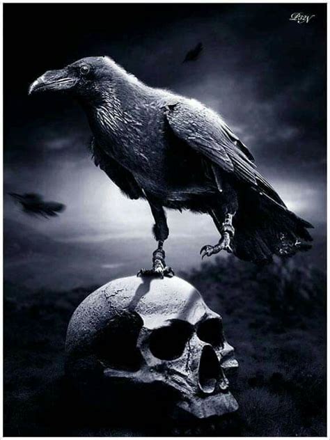 Pin by Lone Wolve on Dark Art in 2020 | Crow, Raven art, Raven