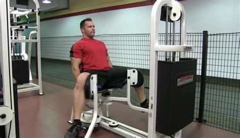 Seated Hip Adduction • Bodybuilding Wizard