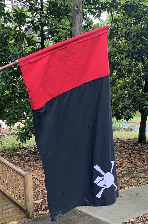 Thought y’all might appreciate my homemade pirate flag as much as r ...