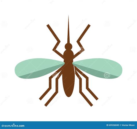 Anopheles Mosquito Vector Illustration Stock Vector - Illustration of ...