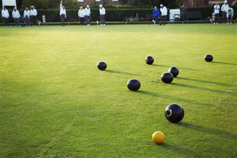 Lawn bowls green - Stock Image - F021/2437 - Science Photo Library