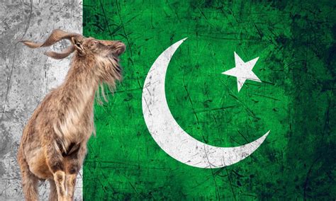 National Animal Of Pakistan (Helpful Content!) - Foreign Lingo