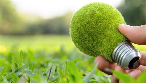 Cuales fueron las empresas más ecológicas que existieron en los ultimos ...