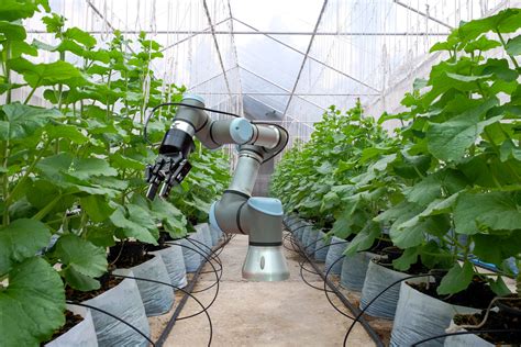 Understanding Agricultural Robots | A3 Blog | automate.org