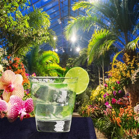 The Orchid Show 2018 » New York Botanical Garden