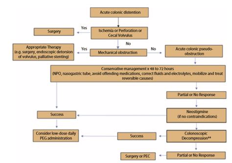 Episode 5- Subcutaneous neostigmine to treat Ogilvie's Syndrome - ER-Rx