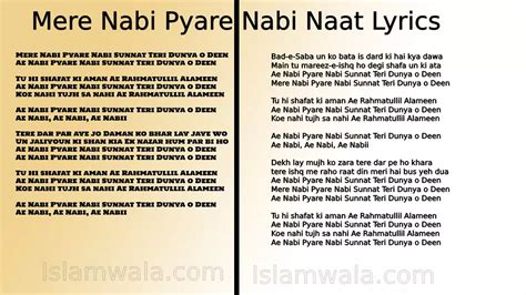 Mere Nabi Pyare Nabi Naat Lyrics By Junaid Jamsheed