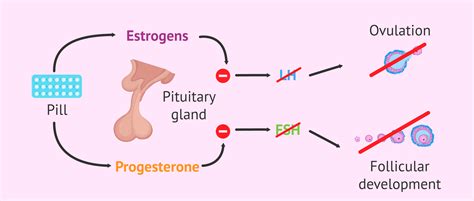 Amenorrhea due to hormonal contraception