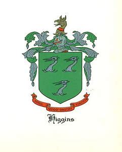 Great Coat of Arms Higgins Family Crest genealogy, would look great ...