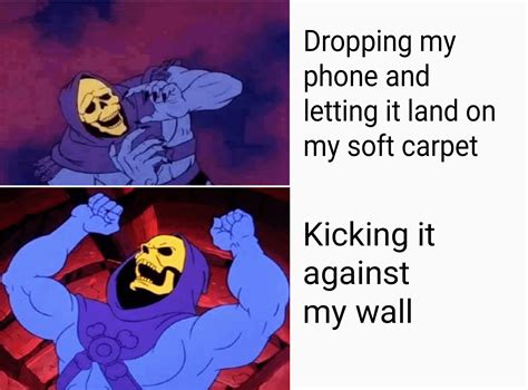 Skeletor meme, anyone? : r/memes