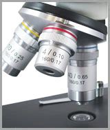 如何选择显微镜 - 复合或立体声|HST.