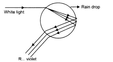 Draw a labeled diagram of rainbow formation. Also, explain the phenomenon of rainbow formation.