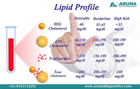 Lipid Profile Chart