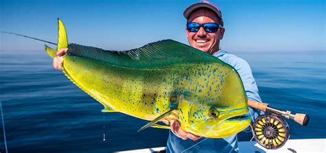 Dorado Fishing | Big Game Fishing & Blue Water | Sportquest Holidays