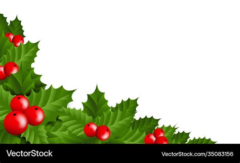 Border and holly berry isolated white background Vector Image