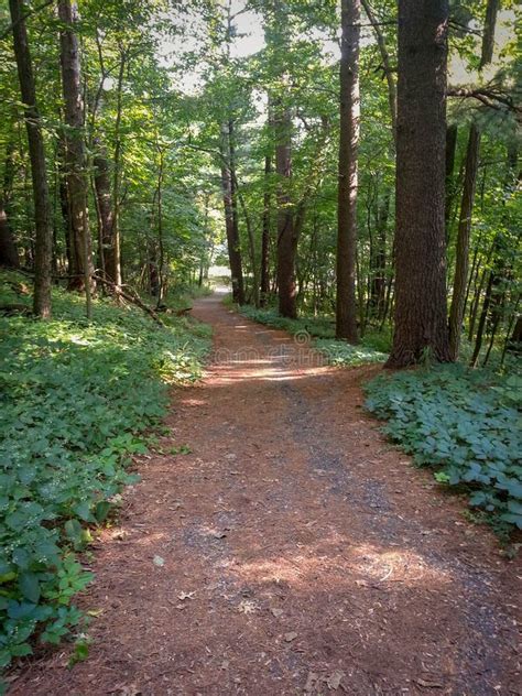 Trail at Mirror Lake State Park in WI Stock Photo - Image of wisconsinstate, scenery: 107701416