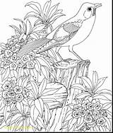 Printable Coloring Pages Of Nature sketch template
