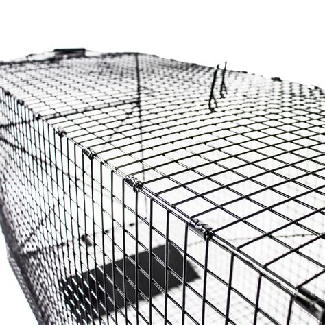 Humane Way Foldable Metal Animal Trap - 50 Inch x 20 Inch x 26 Inch ...