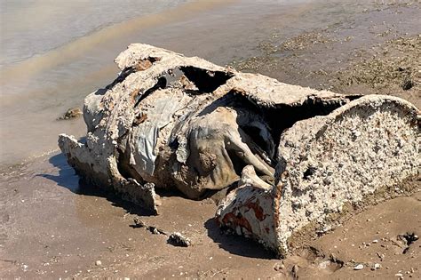 Body found in barrel by boaters at Lake Mead: authorities