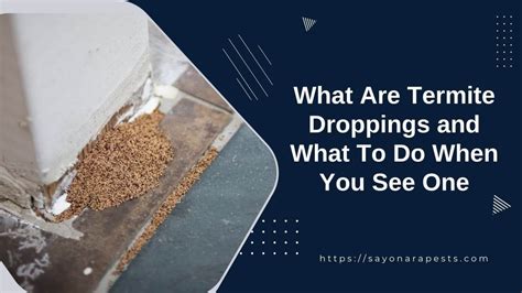 What Are Termite Droppings and What To Do When You See One | Sayonara Pests