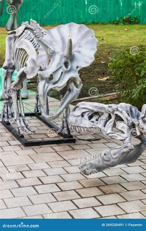 Shot of a Dinosaur Skeleton on Display of the Museum. Archeology Editorial Photo - Image of ...