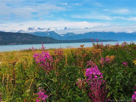 Skagway Alaska - Davidson Glacier A Must See – The Travel Bite