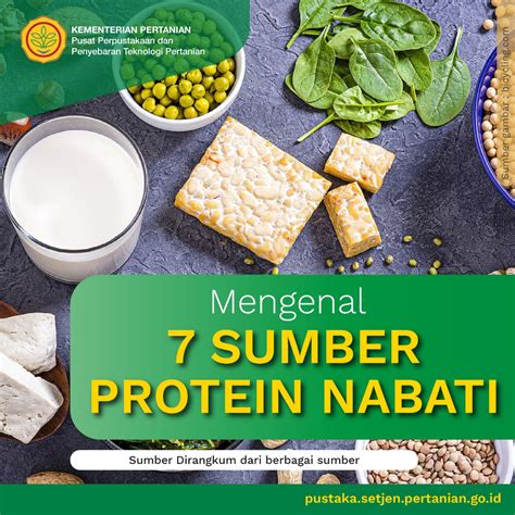 contoh makanan protein nabati - Nathan Arnold