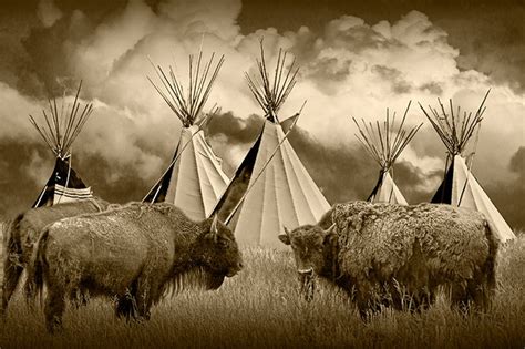 Indian Tribe Teepee Village With American Buffalo Bison Herd - Etsy