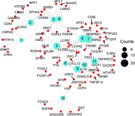 A scattergram composed of GO description and associated genes. Blue ...