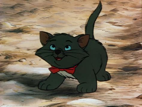 What's The Black Cat's Name In Aristocats - washingtondcattorneycaraccident