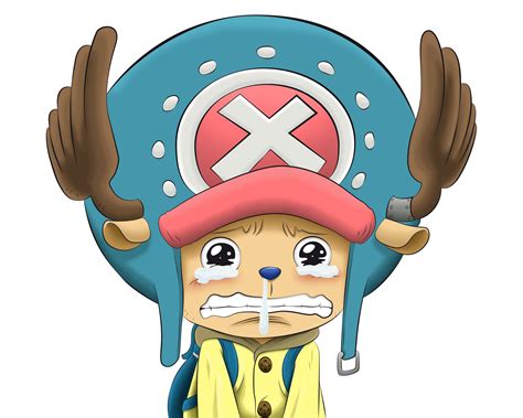 11+ Chopper One Piece Wallpaper Phone PNG