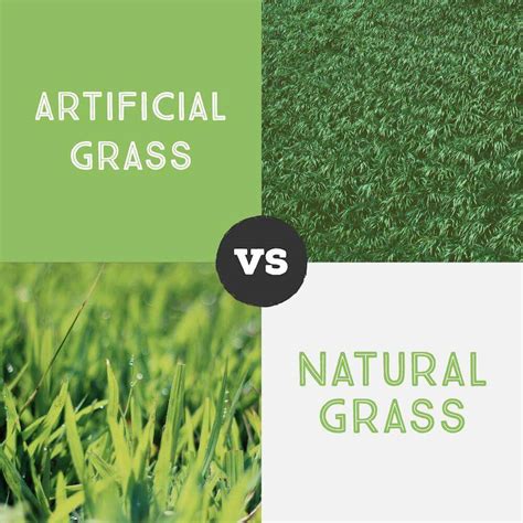 🥇Artificial Turf vs Natural Grass in Bonita Ca | 🥇Artificial Grass Bonita Ca