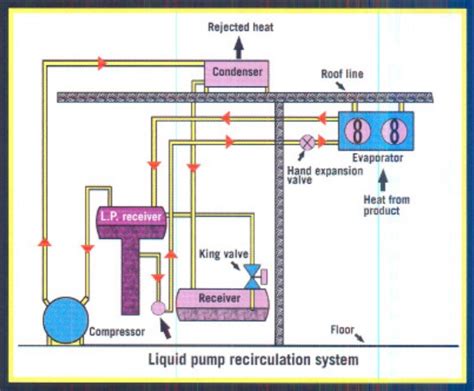 ammonia refrigeration system design software - manartphotographybeautiful