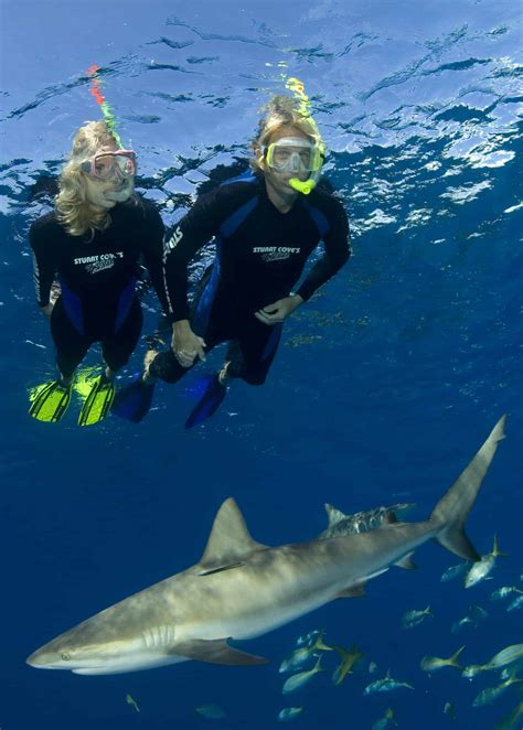 nassau-snorkeling-tour - Jamaica Cruise Excursions