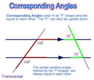 Corresponding Angles Of Similar Triangles Worksheet - Angleworksheets.com