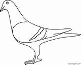 Pigeon Coloring Pages 18 Free Printables  ColoringAll sketch template