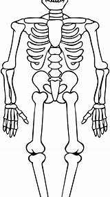 Skeleton Pirate Coloring Pages At GetColoringscom  Free printable sketch template