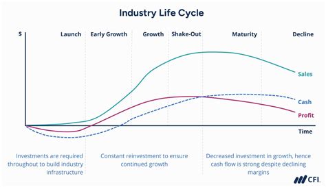 What Are Industry Life Cycle Stages? A Closer Look at the Evolution of Businesses and Industries