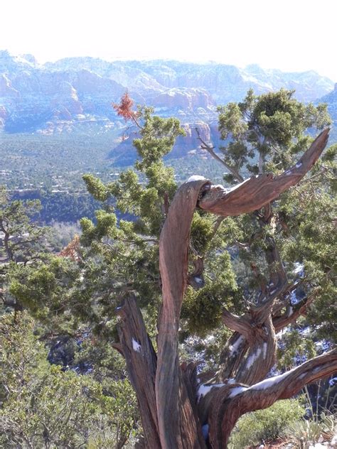 Sedona Vortex Guide - Experience Sedona Vortexes