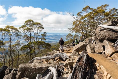 Wellington Park to reopen on Monday 11 May - City of Hobart, Tasmania ...