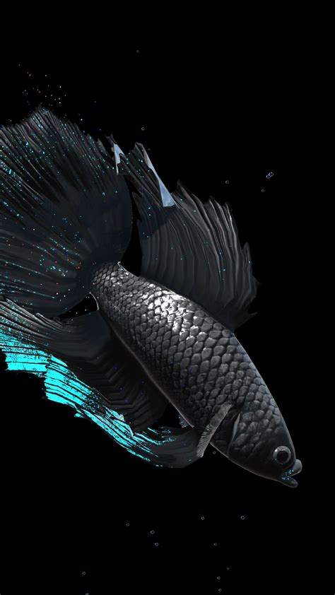 Android için Betta Fish Live Wallpaper FREE - APK'yı İndir