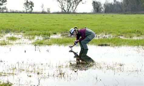 DVIDS - Images - Western Spadefoot Toad Habitat Survey [Image 7 of 43]