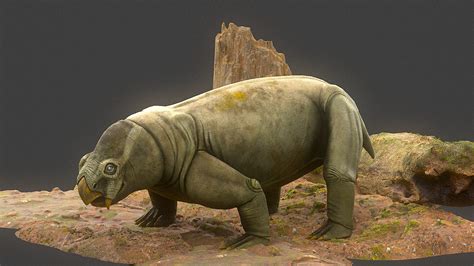 ArtStation - Dicynodont