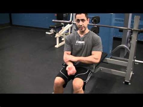 Seated Dumbbell Bicep Curls - YouTube