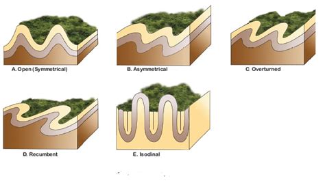 Types Of Folds Geography