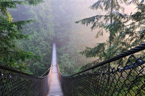 21 Best Hikes in Vancouver - Can't Miss Vancouver Hiking Trails ...