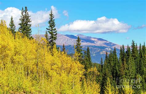 Guanella Pass Fall Colors Photograph by Shirley Dutchkowski - Pixels