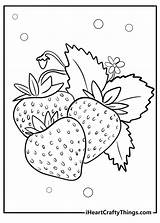 20 Strawberry Coloring Pages  Free PDF Printables For Kids sketch template